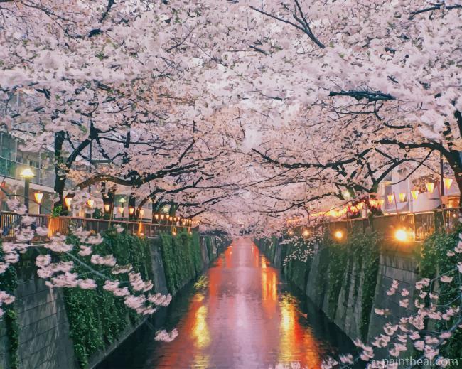 Cherry Blossoms In Japan Painting By Numbers Kits