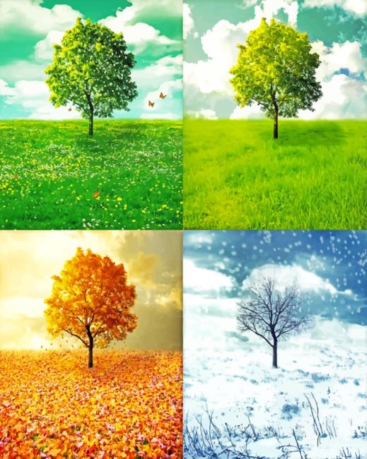 Four Seasons Painting By Numbers Kits