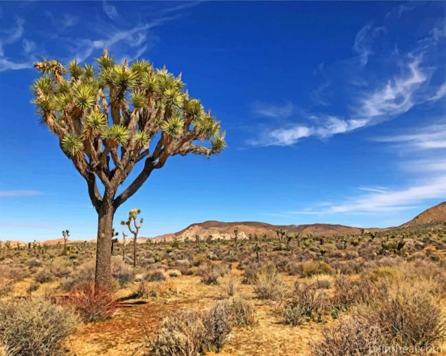Aesthetic Joshua Tree In Desert Painting By Numbers Kits