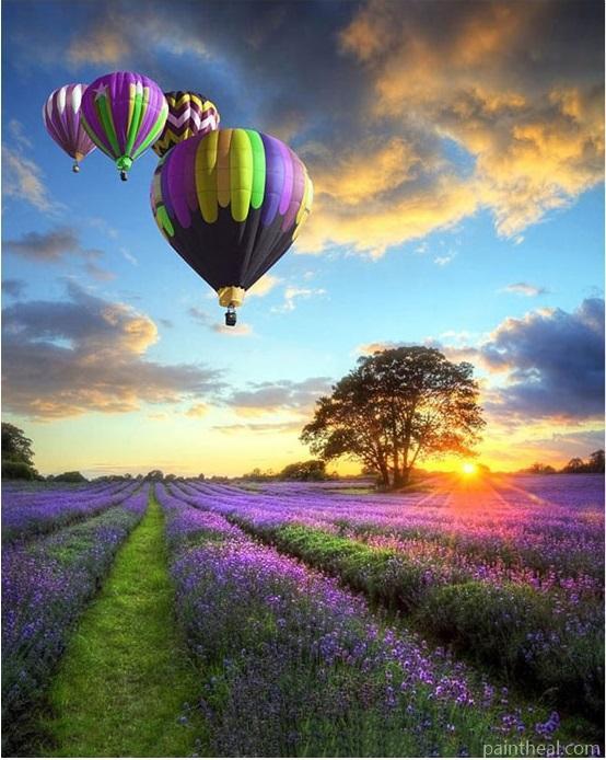 Air Balloon Lavender Field – 5D Diamond Paintings Painting By Numbers Kits