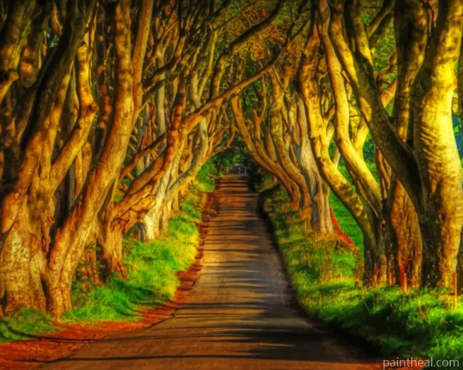 Aesthetic Woodland Painting By Numbers Kits