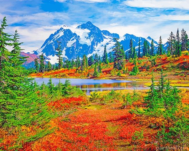 Mount Baker Washington Painting By Numbers Kits
