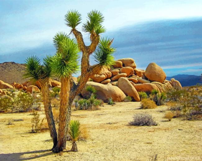 Joshua Desert Tree Painting By Numbers Kits