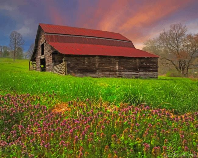 House In The Field Painting By Numbers Kits