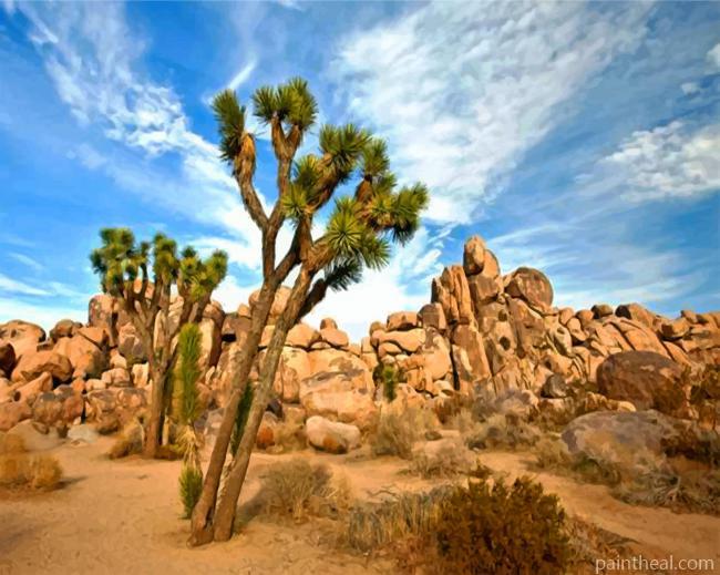 Joshua Tree National Park Desert Painting By Numbers Kits