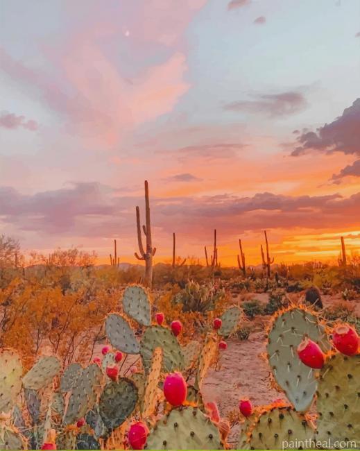Cactus Desert Aesthetic Painting By Numbers Kits