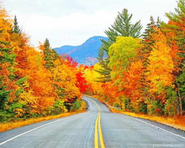 Road Autumn Trees Painting By Numbers Kits