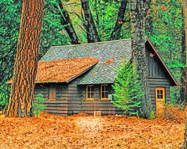 Wooden House Painting By Numbers Kits
