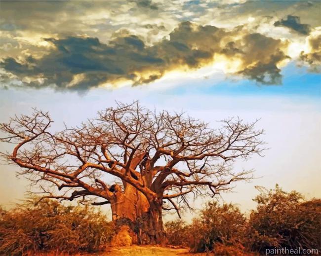Clouds And Baobab Tree Painting By Numbers Kits