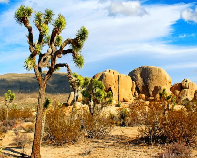 Joshua Tree National Park California Painting By Numbers Kits