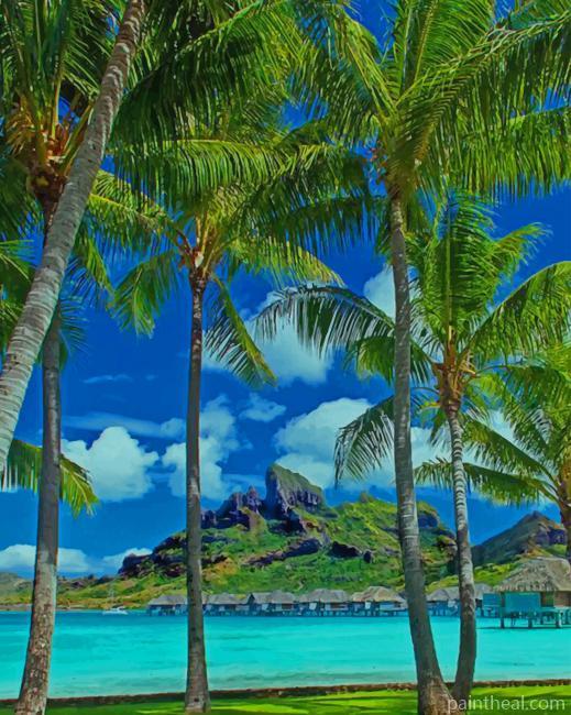 Bora Bora Palms Painting By Numbers Kits