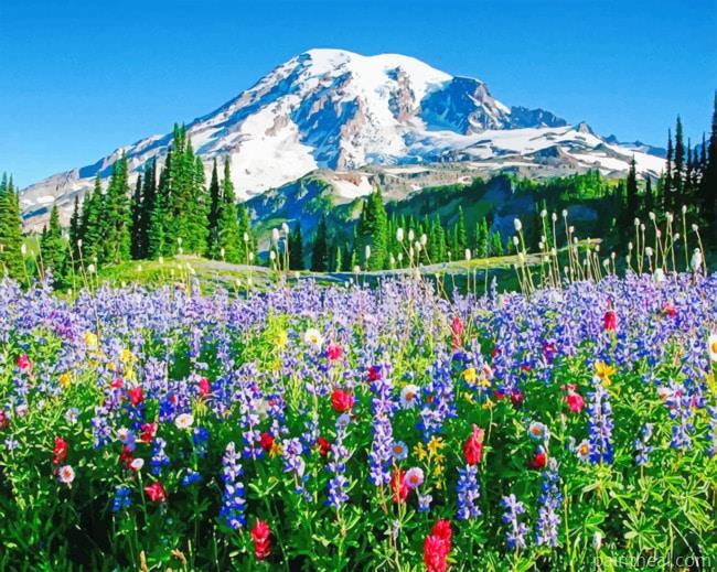 Mount Rainier Painting By Numbers Kits