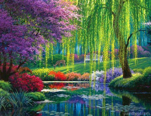 Willow Tree Garden Painting By Numbers Kits