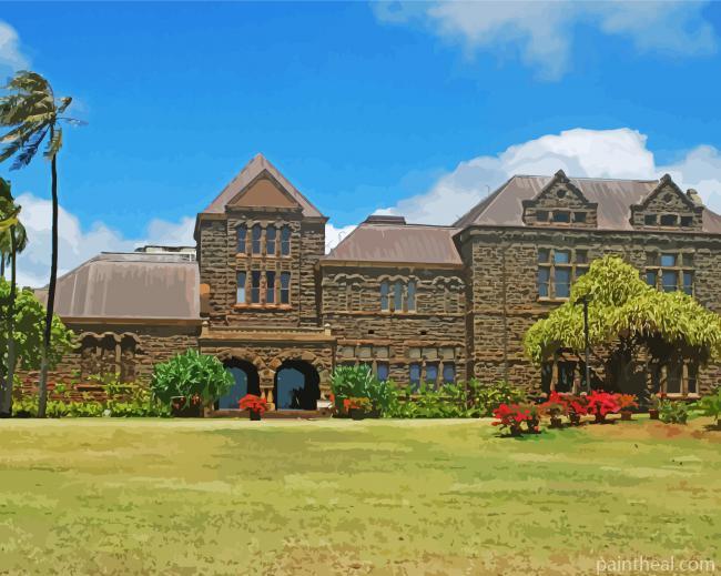 Honolulu Bishop Museum Painting By Numbers Kits