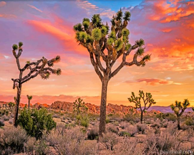 Joshua Trees And Sunset Painting By Numbers Kits