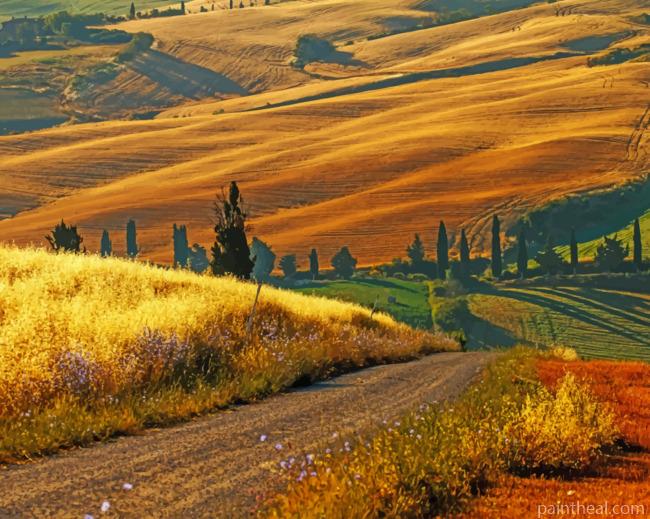 Italian Summer Countryside Painting By Numbers Kits