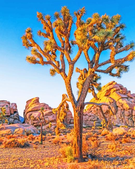 Joshua Tree Painting By Numbers Kits