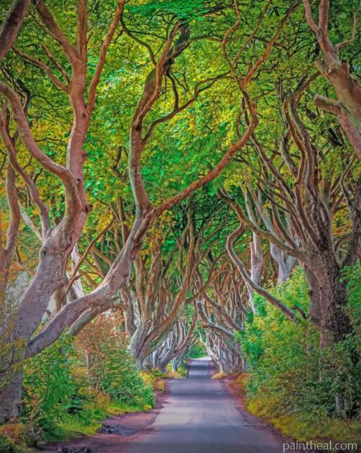 Aesthetic Dark Hedges Painting By Numbers Kits