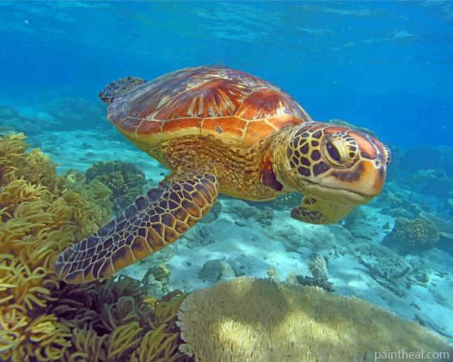 Green Island Snorkeling Painting By Numbers Kits