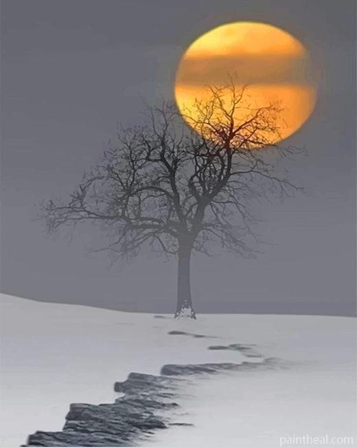 Snow Moon Painting By Numbers Kits