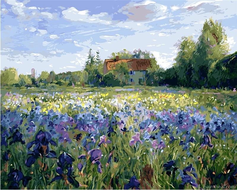 Iris Flowers Field Painting By Numbers Kits