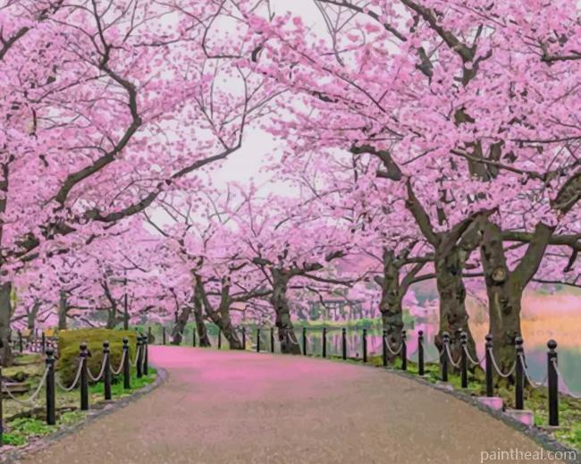 Cherry Blossom Trees Garden Painting By Numbers Kits
