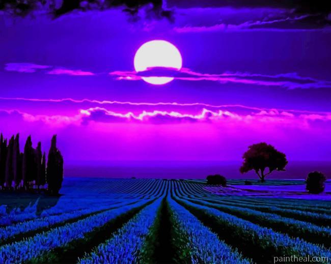 Lavender Fields Moonlight Painting By Numbers Kits