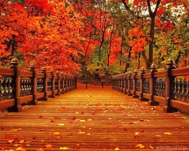 Beautiful Nature Fall Painting By Numbers Kits