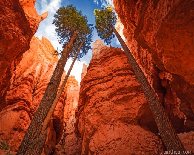 Bryce Canyon National Park Painting By Numbers Kits