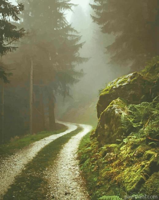 Street In forest Painting By Numbers Kits