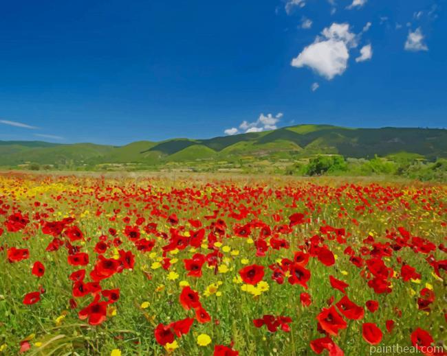 Red Flowers Field Painting By Numbers Kits