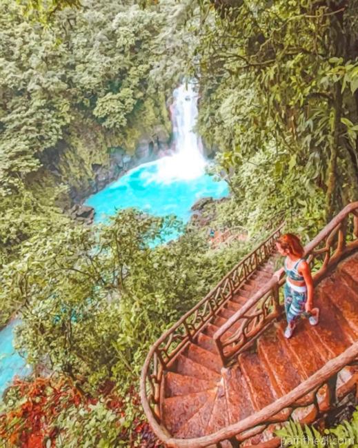 Nature In Costa Rica Painting By Numbers Kits
