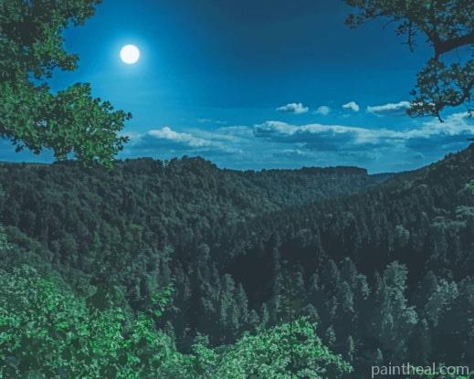 Night Forest Painting By Numbers Kits
