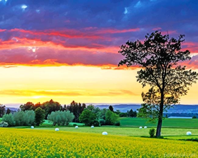 Switzerland Fields Painting By Numbers Kits