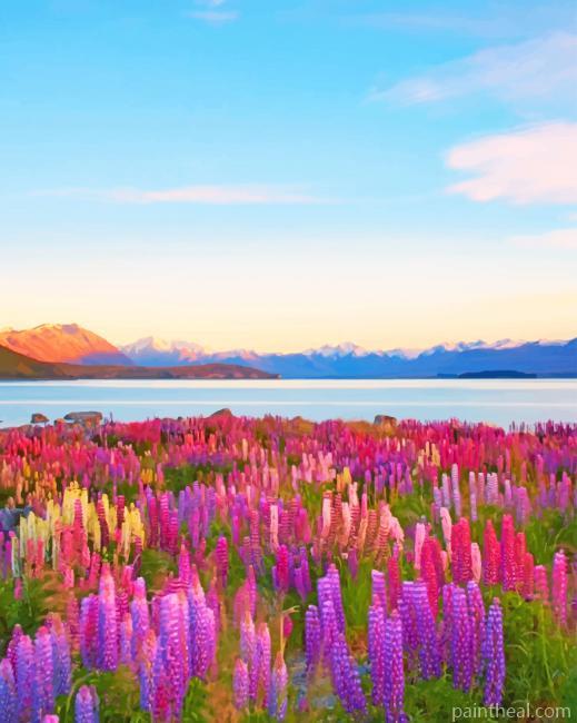 New Zealand Tekapo Lake Painting By Numbers Kits