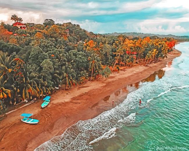 Palm Trees Of Costa Rica Painting By Numbers Kits