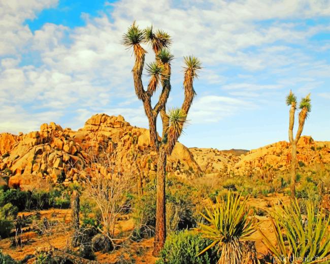 Aesthetic Joshua Tree Painting By Numbers Kits