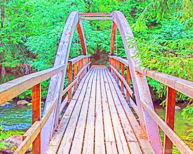 Wooden Bridge Within Trees Painting By Numbers Kits