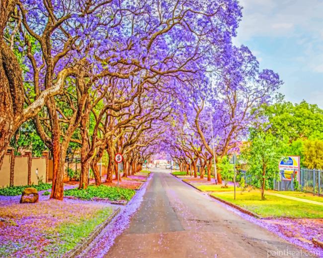 Pretoria South Africa Painting By Numbers Kits