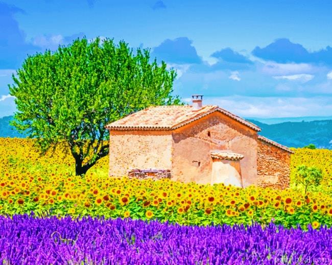 Provence France Painting By Numbers Kits