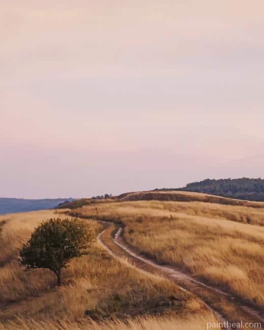 Road In The Landscape Painting By Numbers Kits