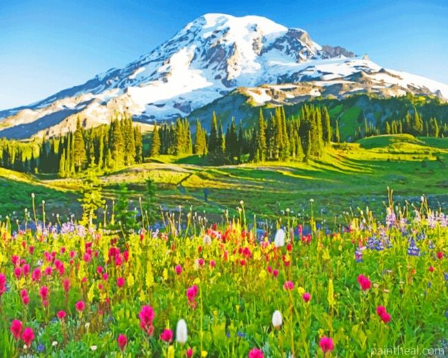 Mount Rainier Paradise Painting By Numbers Kits
