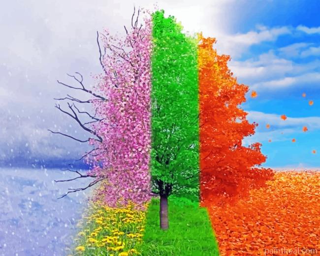 Four Seasons Tree Painting By Numbers Kits