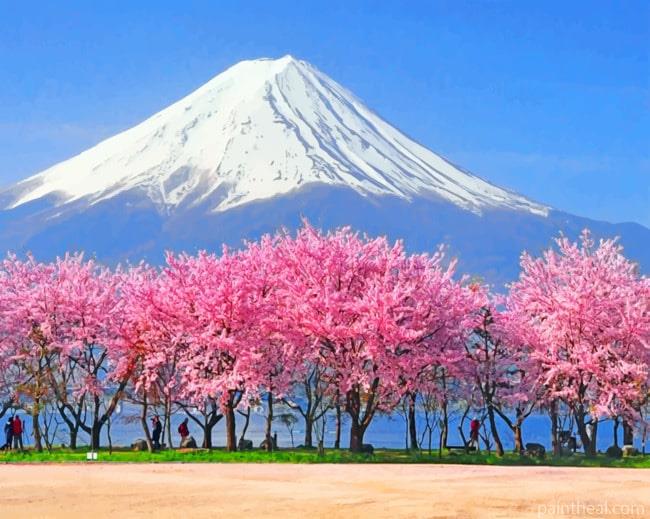 Mt Fuji Cherry Blossoms Painting By Numbers Kits