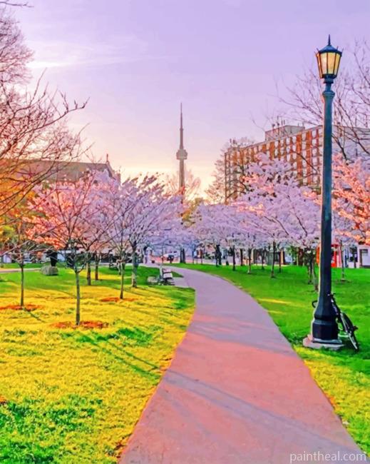 Toronto Cherry Blossoms Painting By Numbers Kits