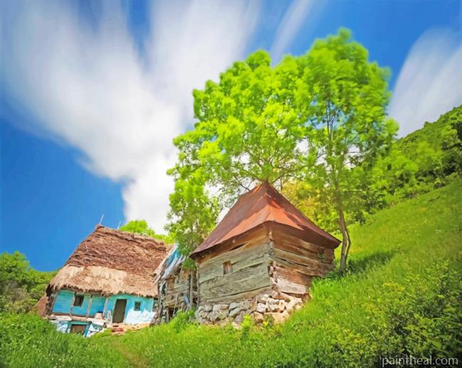 Traditional House In Romania Painting By Numbers Kits