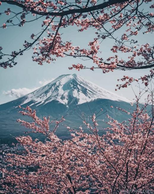 Mt Fuji Painting By Numbers Kits