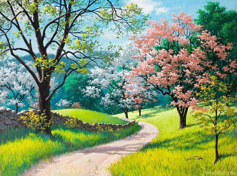 Cherry Blossoms Road Painting By Numbers Kits
