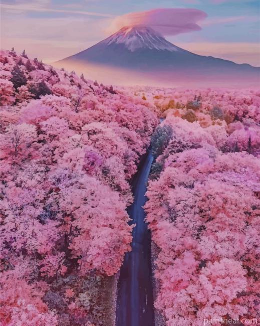 Mt Fuji With Cherry Blossoms Painting By Numbers Kits