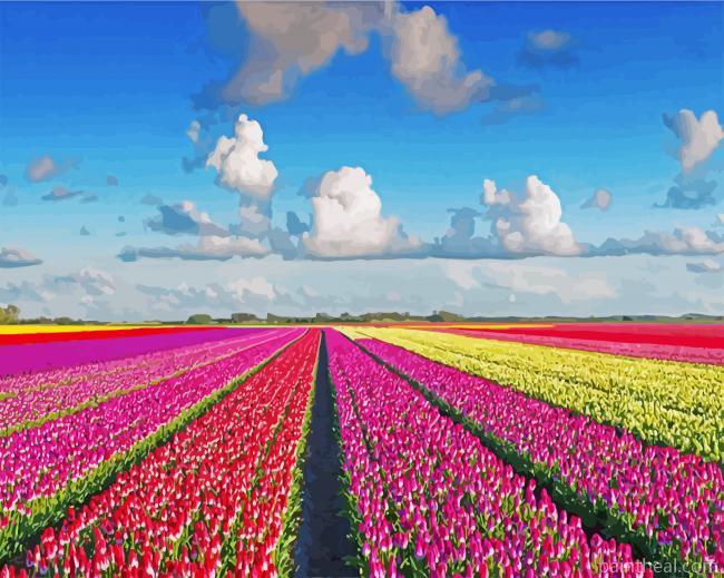 Keukenhof Garden Painting By Numbers Kits